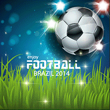 ワールドカップ２０１４ブラジル