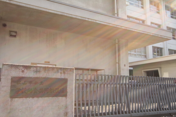 画像:新玉小学校