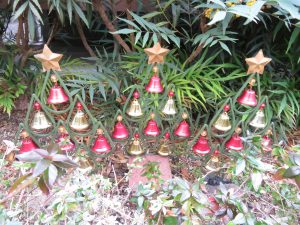 クリスマス花壇２０２１のコスモフリー