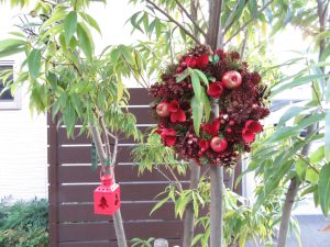 クリスマス花壇２０２１のコスモガーデン吊り飾り