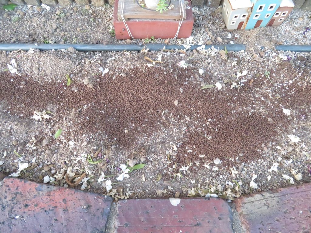 花壇植え替えの苦土石灰