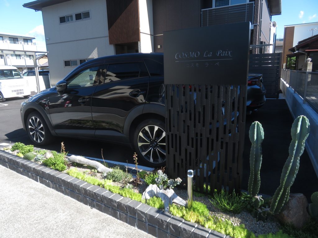 コスモ ラ・ペの多肉成長の全体