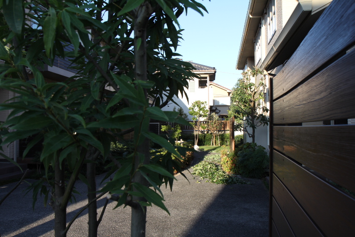 お盆の作業の剪定