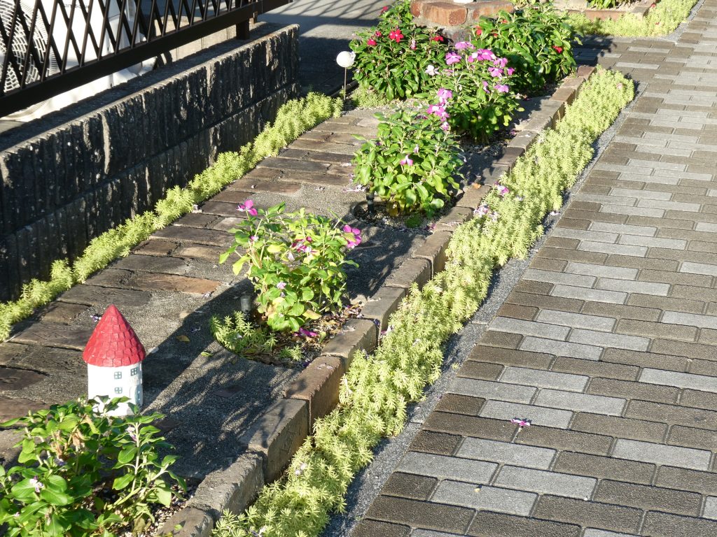 花壇切り戻し後１