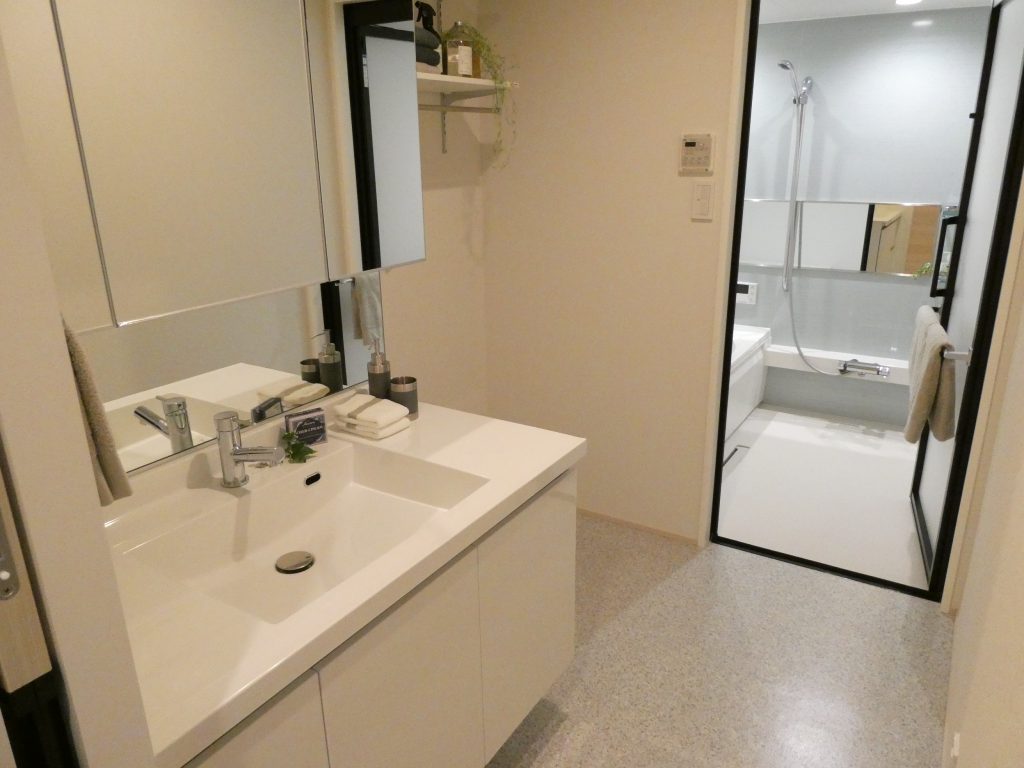 竹原の高級賃貸の洗面所