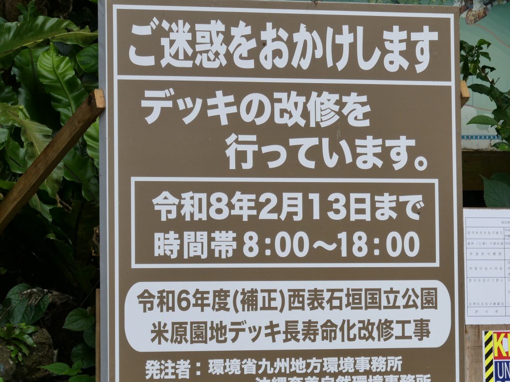 ２０２６石垣ヤエヤマヤシの群生の工事中看板