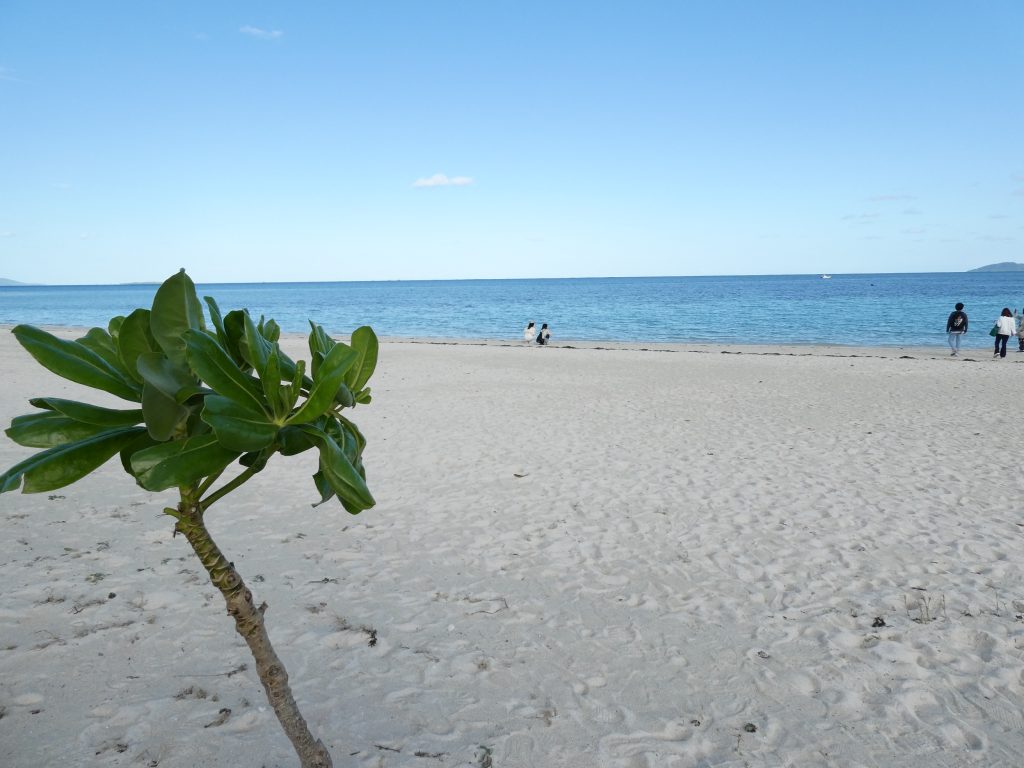 ２０２６竹富コンドイ浜１