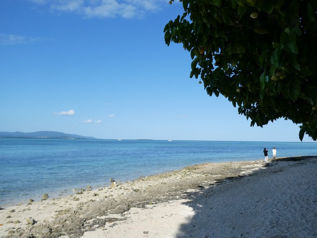 ２０２６竹富カイジ浜